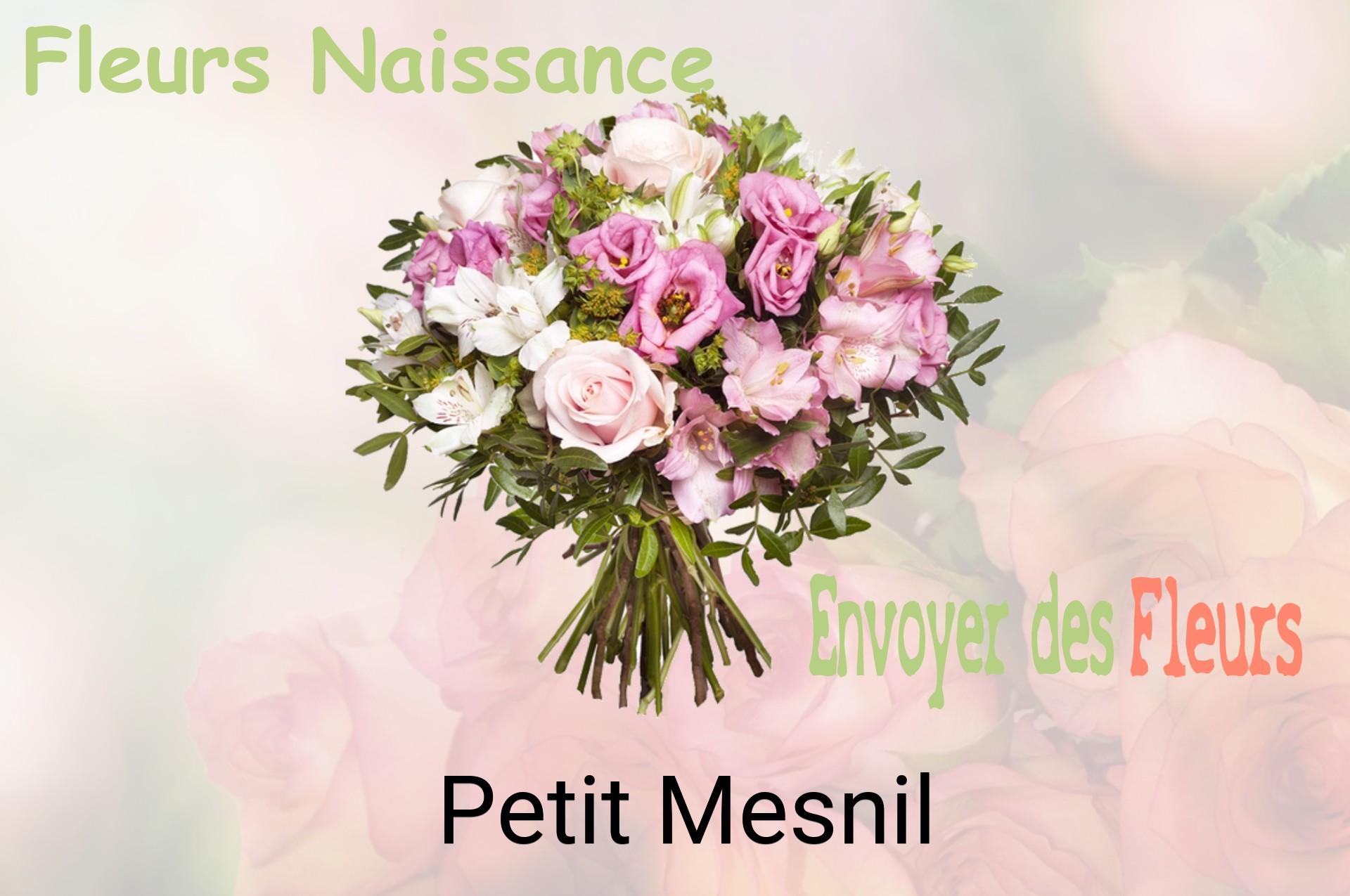 Bouquet de fleurs de naissance livré à Petit-Mesnil